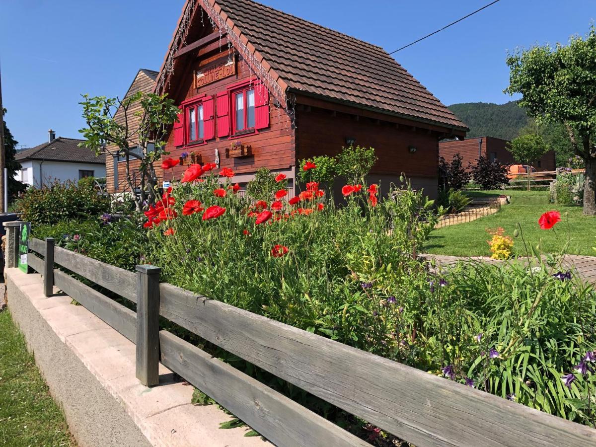 Chalet Colline Et Lou Wintzfelden Dış mekan fotoğraf