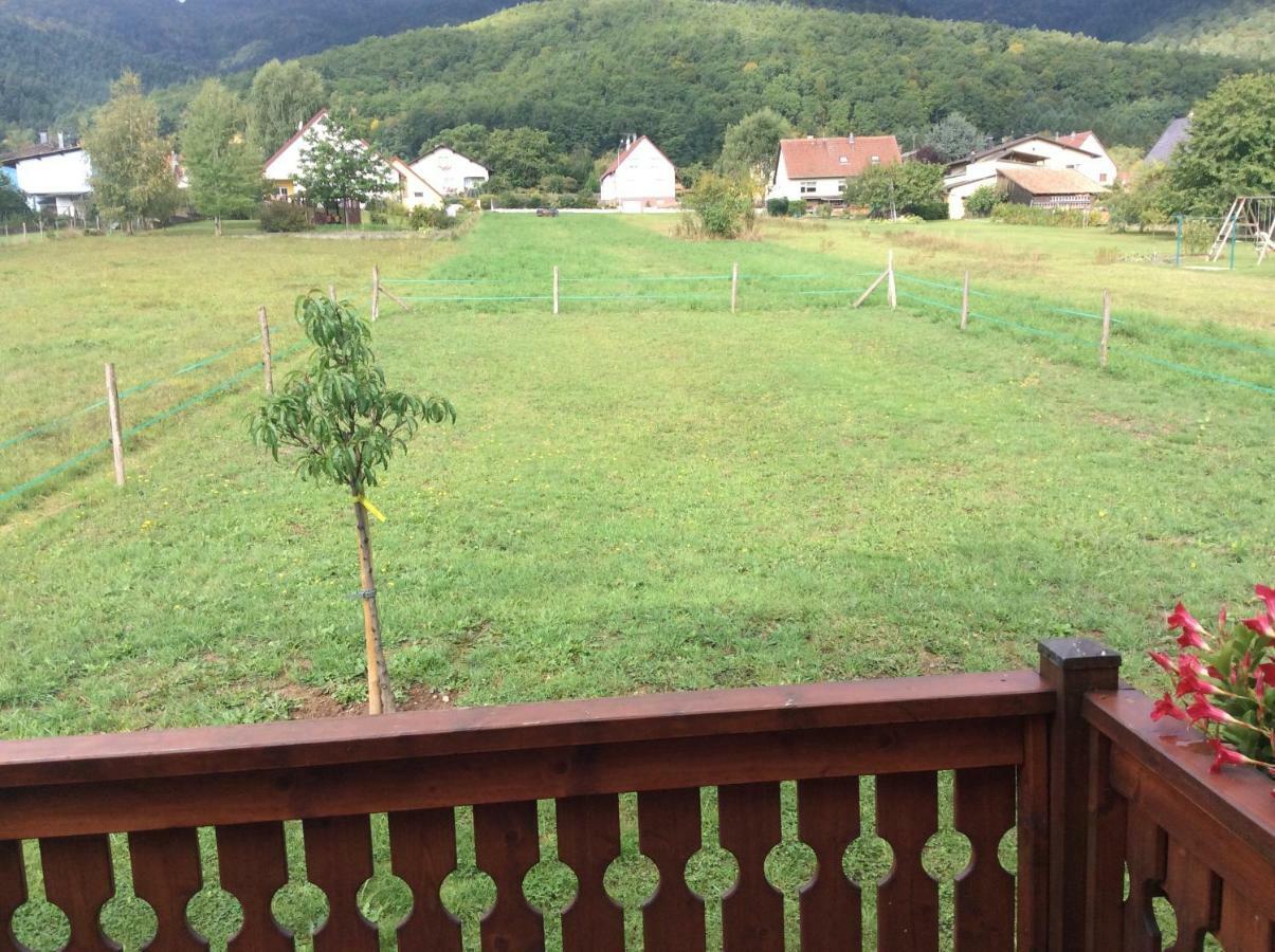 Chalet Colline Et Lou Wintzfelden Dış mekan fotoğraf